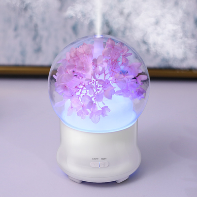 Humidificateur frais d'air de brume d'arome d'huile de capacité ultrasonique portative du diffuseur 100ml