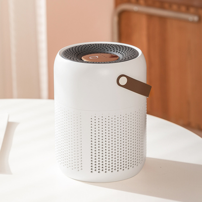 Purificateur d'air branché avec filtre HEPA H13 et modes automatique/manuel