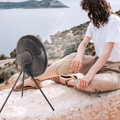 Batterie 10000mAh ventilateur de table rechargeable ventilateur de lumière de tente de lanterne LED de 12 pouces