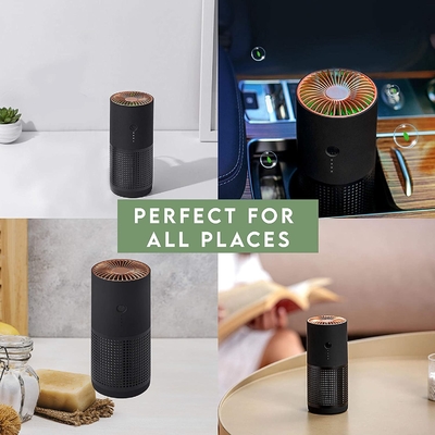 Fumée négative d'allergies de pollen de H13 H12 HEPA Ion Portable Air Purifier For