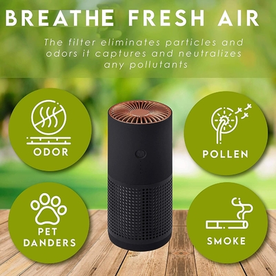 Fumée négative d'allergies de pollen de H13 H12 HEPA Ion Portable Air Purifier For