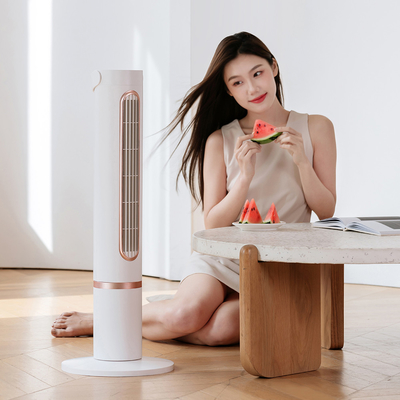 Ventilateur circulateur de refroidissement de tour de la fan cinq de vitesses de polymère d'air sans lame de batterie