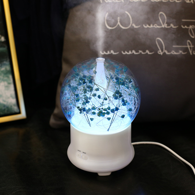 Humidificateur frais d'air de brume d'arome d'huile de capacité ultrasonique portative du diffuseur 100ml